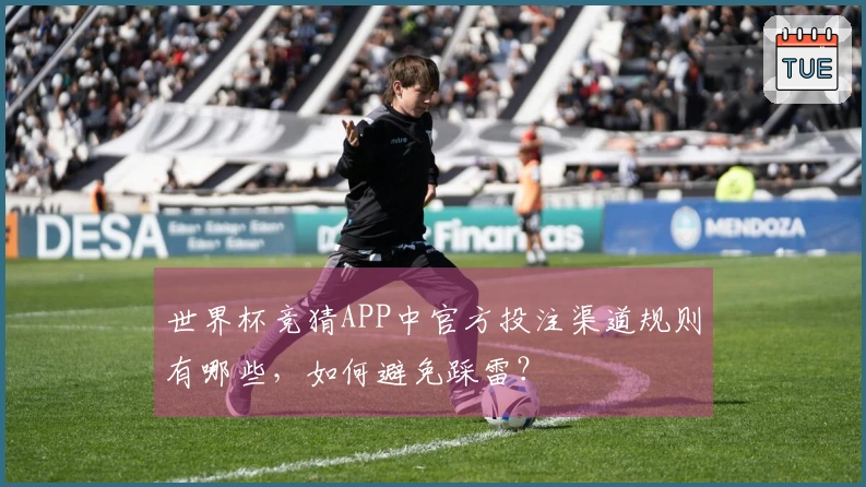 世界杯竞猜APP中官方投注渠道规则有哪些，如何避免踩雷？