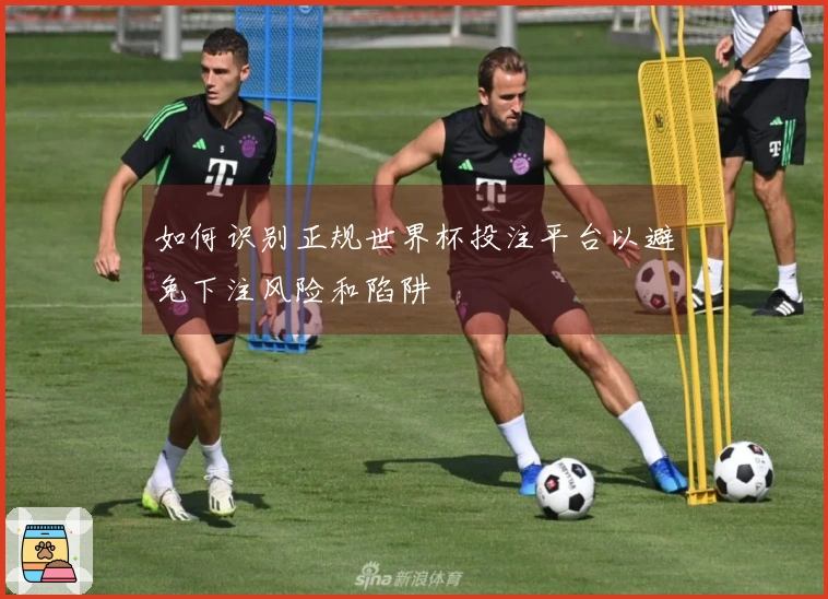 如何识别正规世界杯投注平台以避免下注风险和陷阱