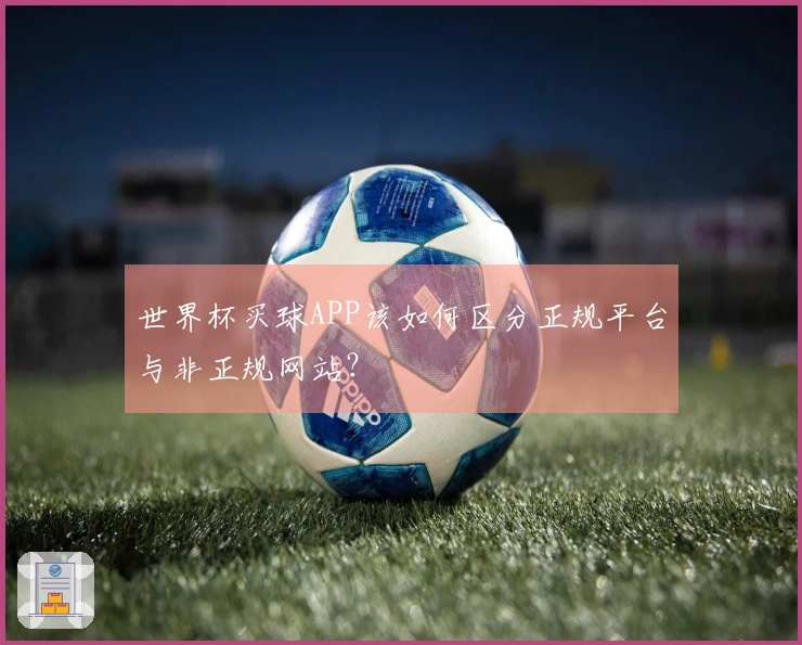 世界杯买球APP该如何区分正规平台与非正规网站？