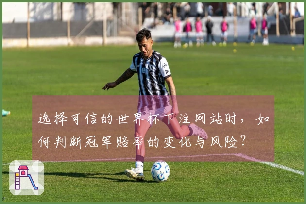 选择可信的世界杯下注网站时，如何判断冠军赔率的变化与风险？