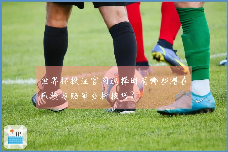 世界杯投注官网选择时有哪些潜在风险与赔率分析技巧？