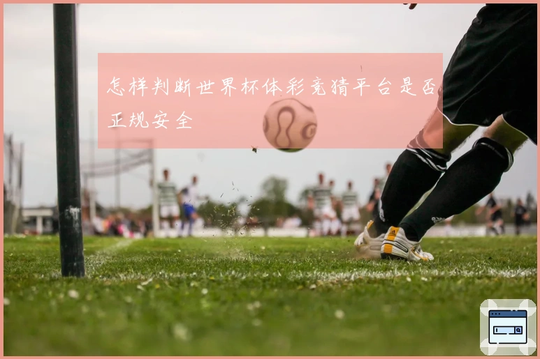 怎样判断世界杯体彩竞猜平台是否正规安全