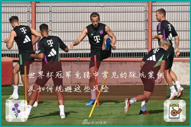 世界杯冠军竞猜中常见的踩坑案例及如何规避这些风险
