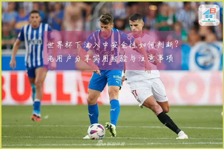 世界杯下注入口安全性如何判断？老用户分享实用经验与注意事项