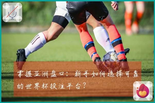 掌握亚洲盘口：新手如何选择可靠的世界杯投注平台？
