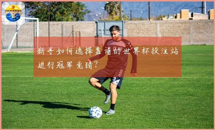 新手如何选择靠谱的世界杯投注站进行冠军竞猜？