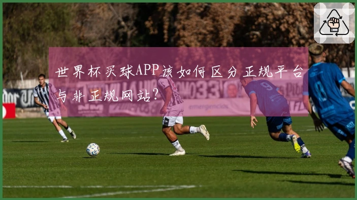 世界杯买球APP该如何区分正规平台与非正规网站?