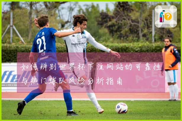 如何辨别世界杯下注网站的可靠性与热门球队风险分析指南