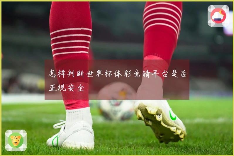 怎样判断世界杯体彩竞猜平台是否正规安全