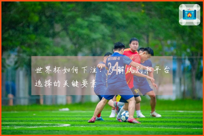 世界杯如何下注？了解规则和平台选择的关键要素