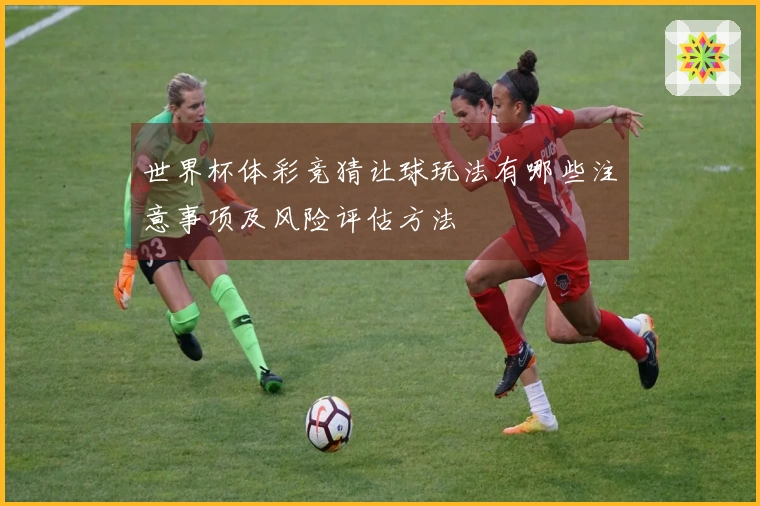 世界杯体彩竞猜让球玩法有哪些注意事项及风险评估方法