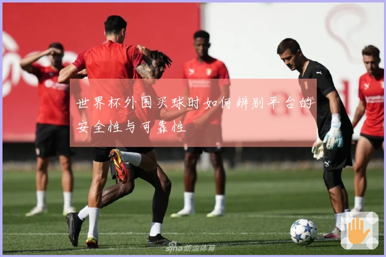 世界杯外围买球时如何辨别平台的安全性与可靠性