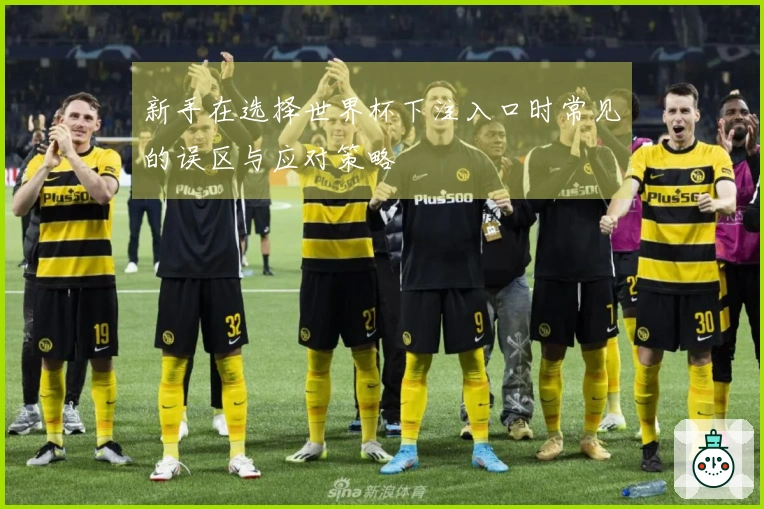 新手在选择世界杯下注入口时常见的误区与应对策略