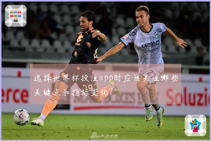 选择世界杯投注app时应该关注哪些关键点和指标变化？