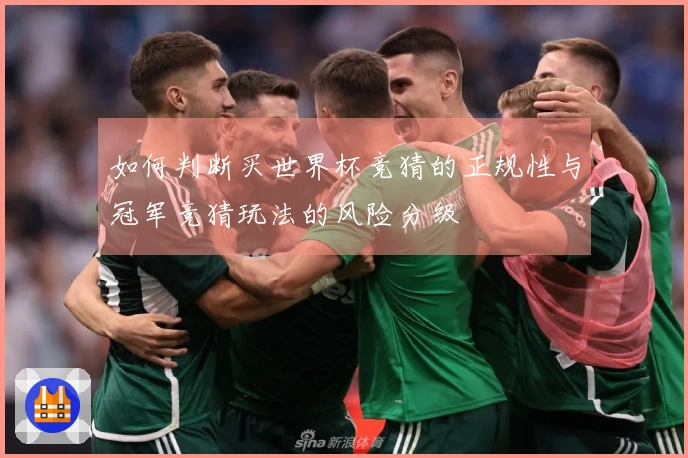 如何判断买世界杯竞猜的正规性与冠军竞猜玩法的风险分级