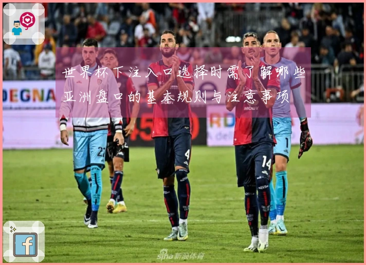 世界杯下注入口选择时需了解哪些亚洲盘口的基本规则与注意事项