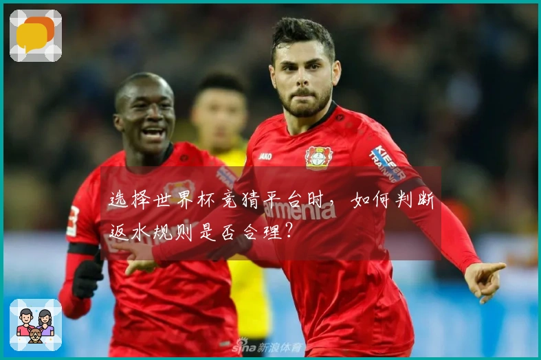选择世界杯竞猜平台时，如何判断返水规则是否合理？