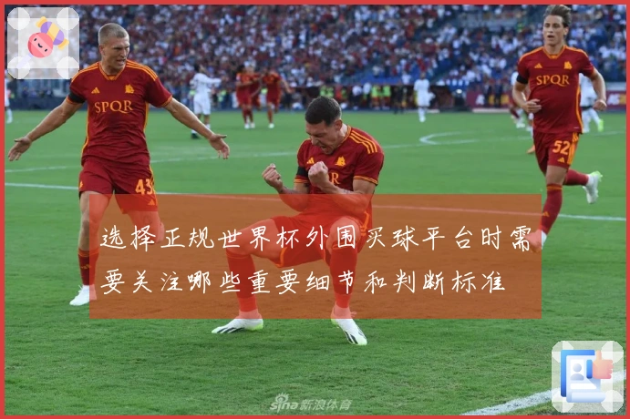 选择正规世界杯外围买球平台时需要关注哪些重要细节和判断标准