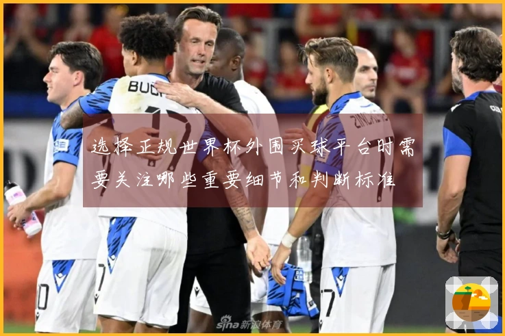 选择正规世界杯外围买球平台时需要关注哪些重要细节和判断标准