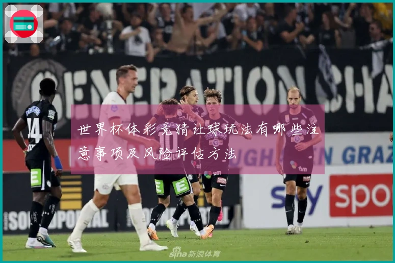 世界杯体彩竞猜让球玩法有哪些注意事项及风险评估方法