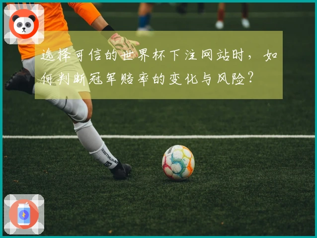 选择可信的世界杯下注网站时，如何判断冠军赔率的变化与风险？