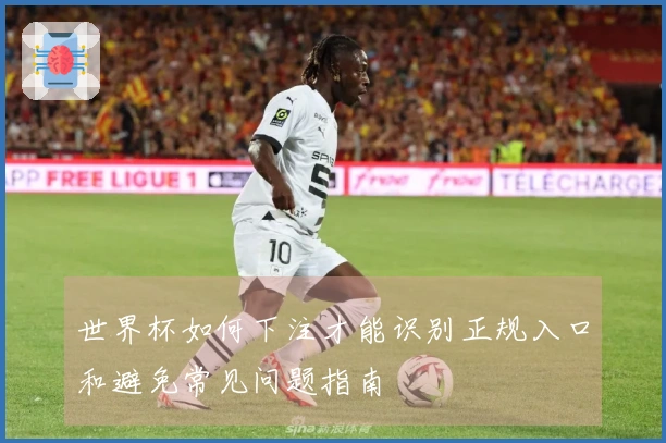 世界杯如何下注才能识别正规入口和避免常见问题指南